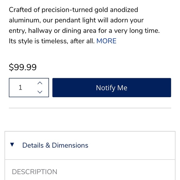 Pier 1 Modern Ceiling Light - Picture 3 of 5